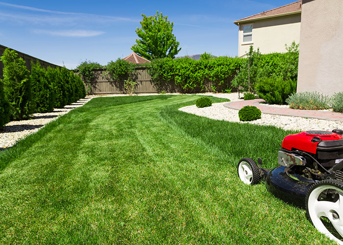 Lawn & Weed Control